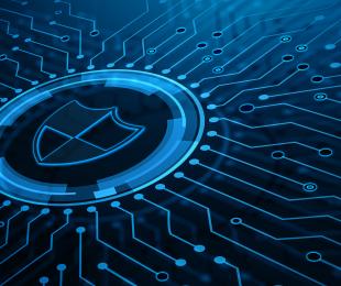 Seguridad frente a vulnerabilidades.